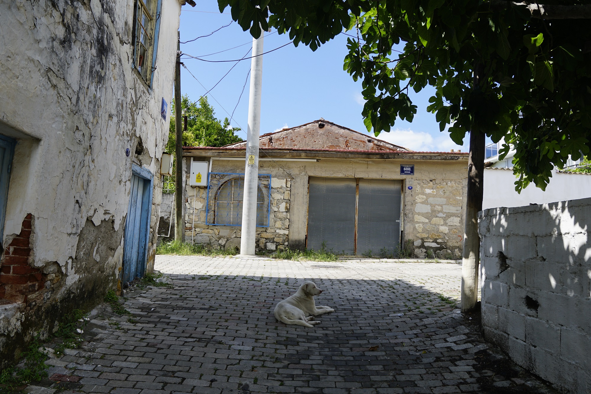 Özbek Sokakları