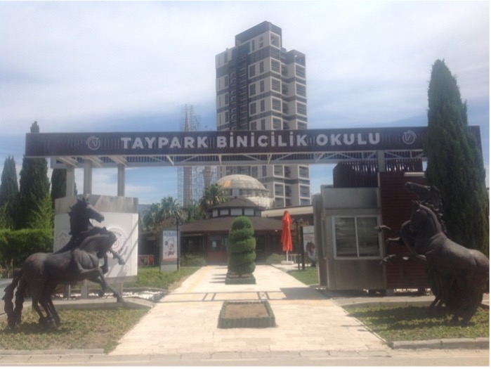 Tay Park